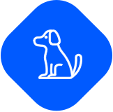 Icon Dog